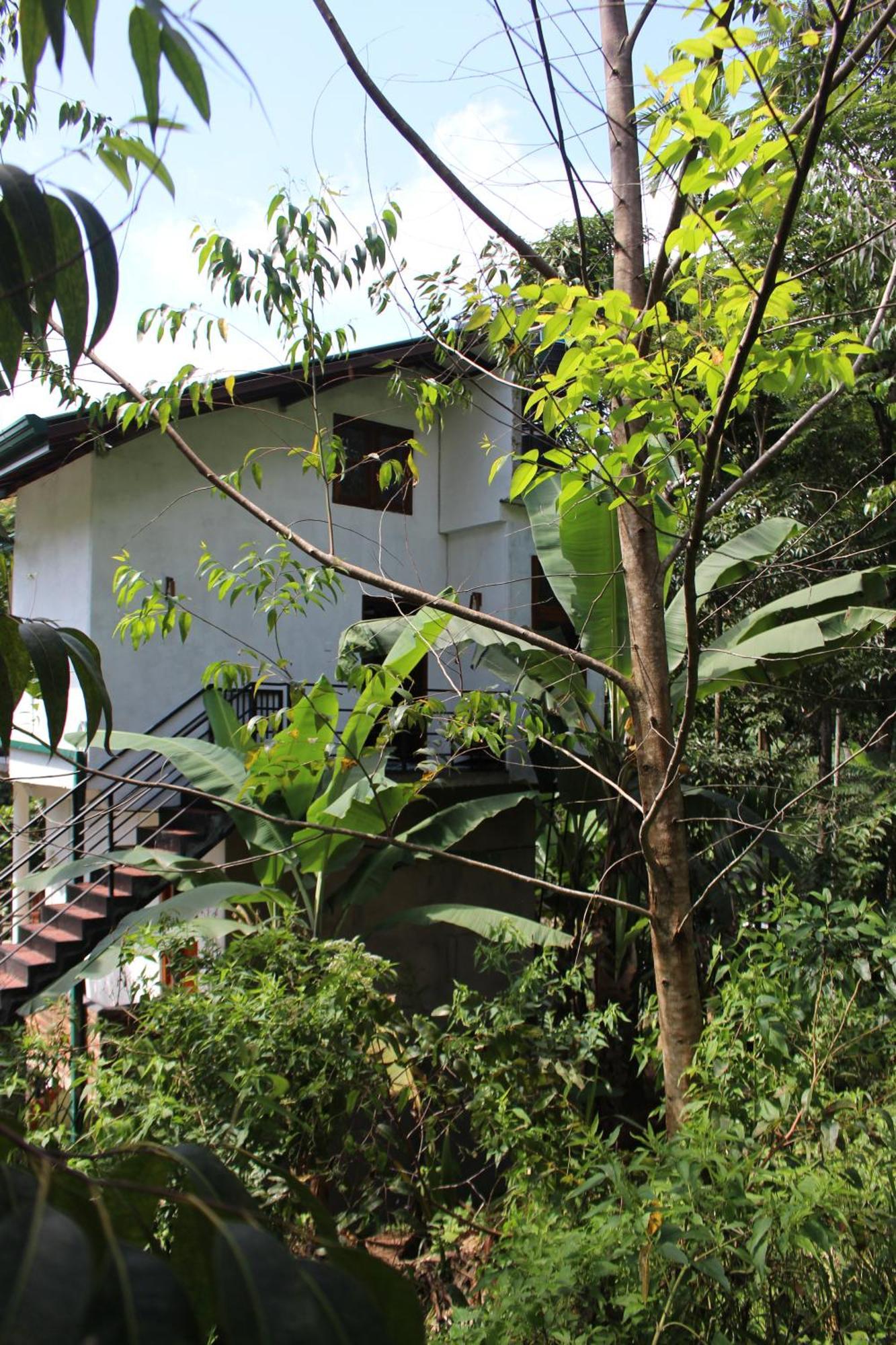 Rest Full Homestay Ella Exterior photo