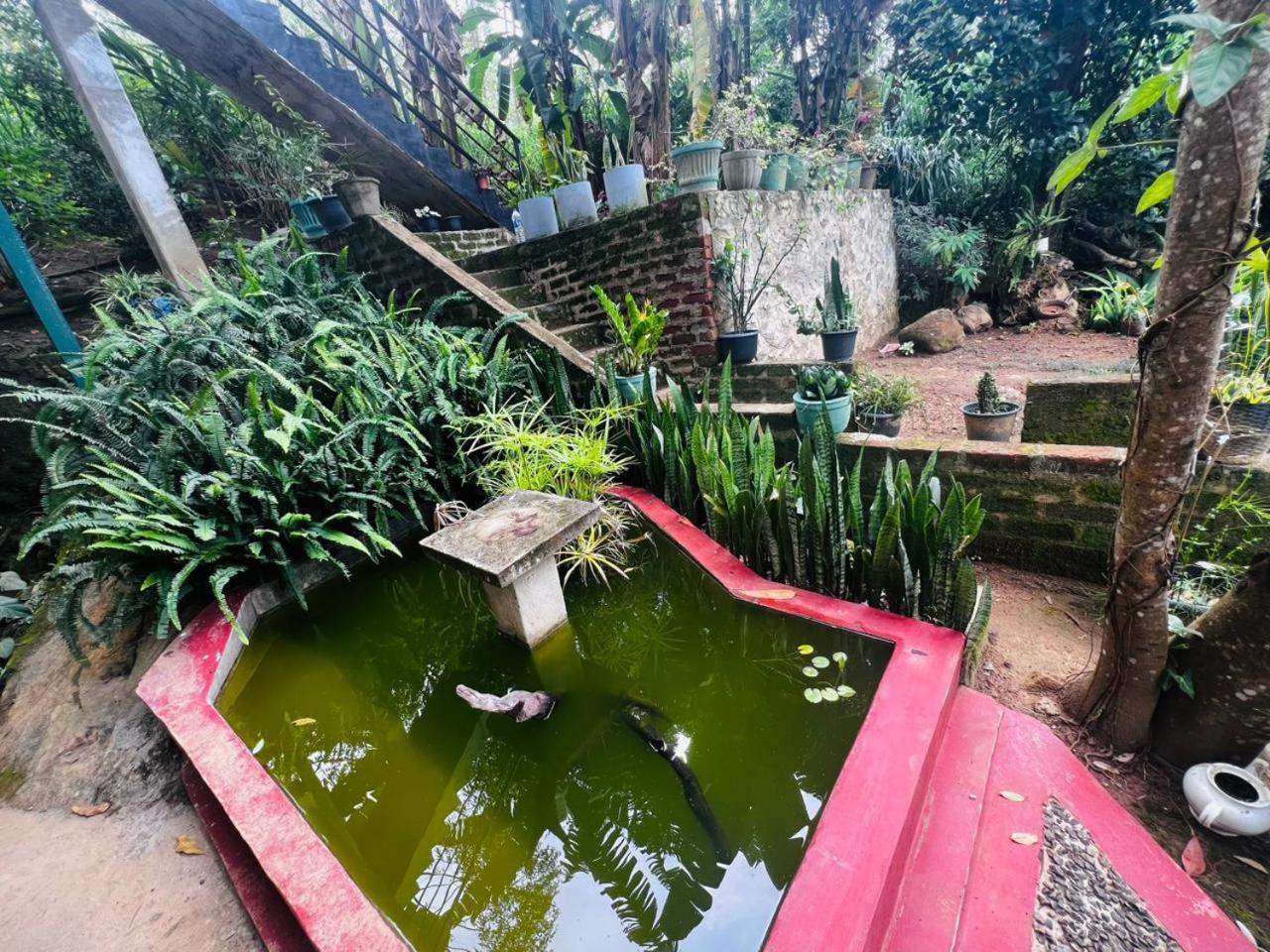 Rest Full Homestay Ella Exterior photo