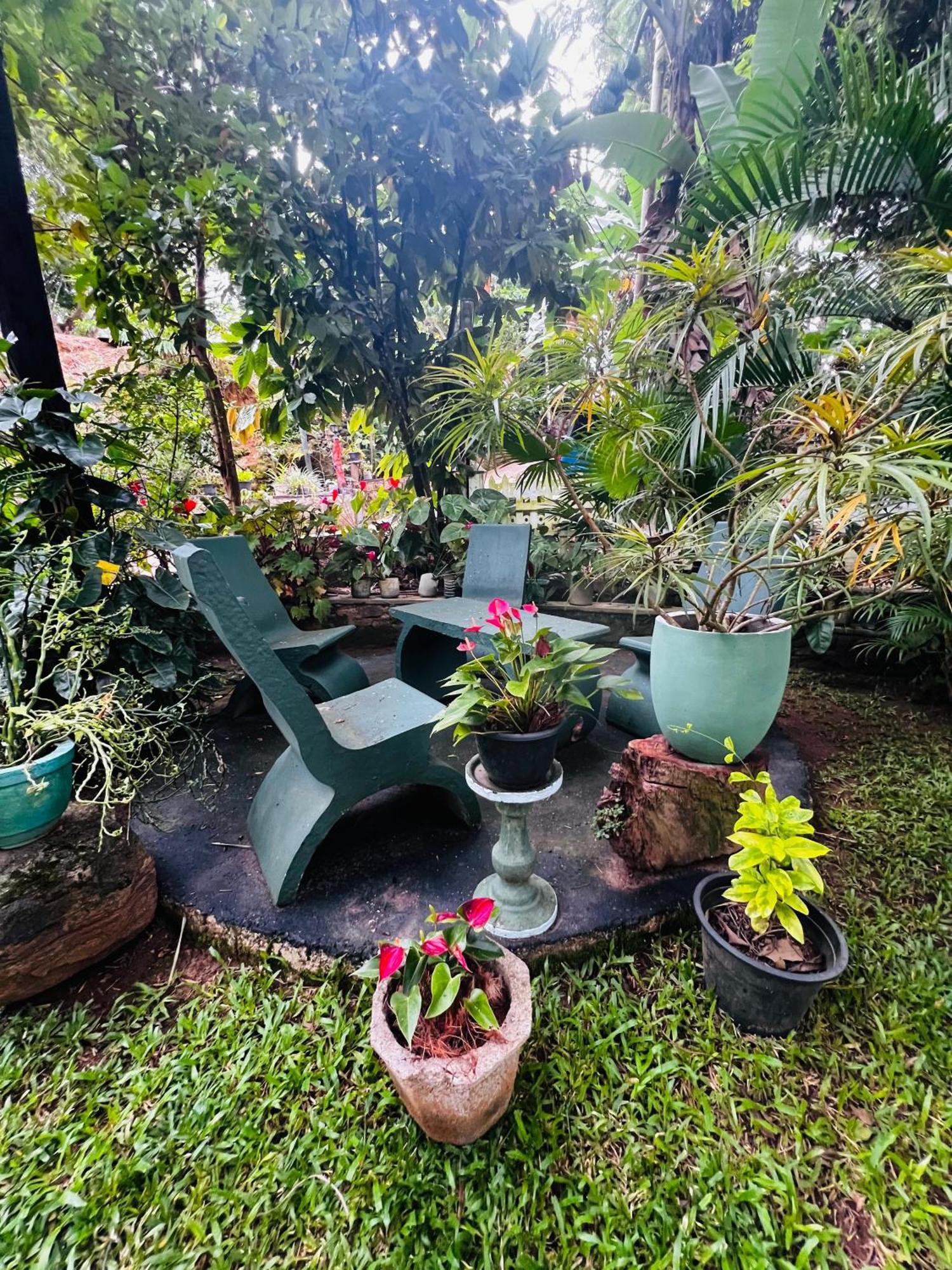 Rest Full Homestay Ella Exterior photo